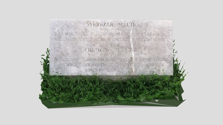 Svetozár Miletič 1826 - 1901 3D Model
