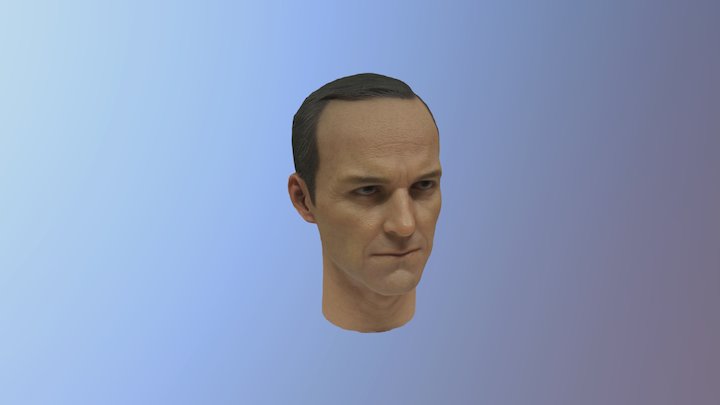 Hot Toys Phil Coulson Head Sculpt Photogrammetry 3D Model