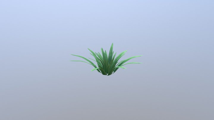 Plant 3D Model