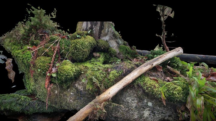 Stronie Śląskie, Nowy Gierałtów, Stream side – Modello 3D gratuito STL