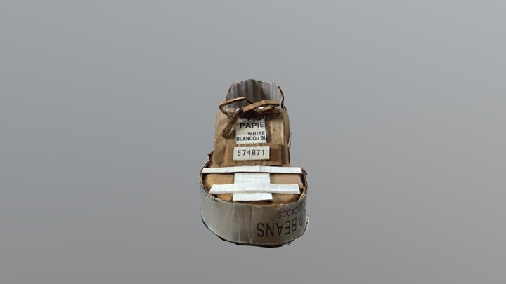 Cardboard shoe 3D Model