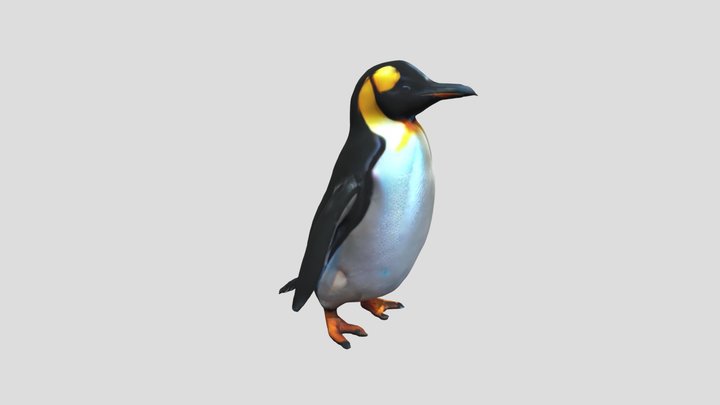 Penguin 3D Model