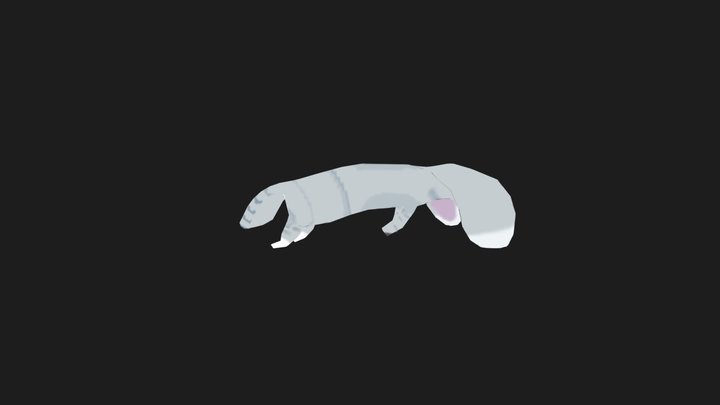 Flappy Cat 3D Model