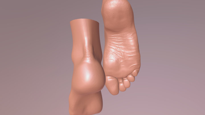 Woman Feet 3D Model