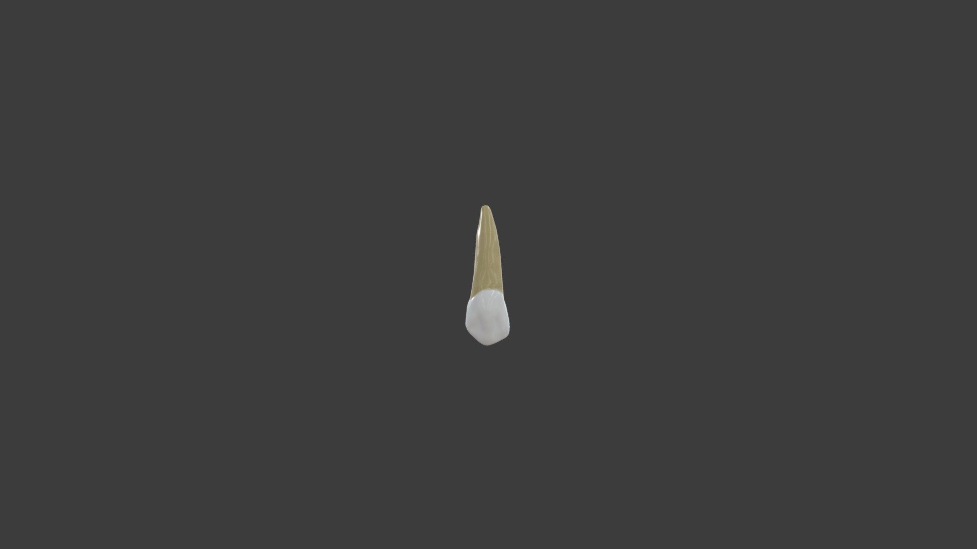 Maxillary 2nd Premolar Right