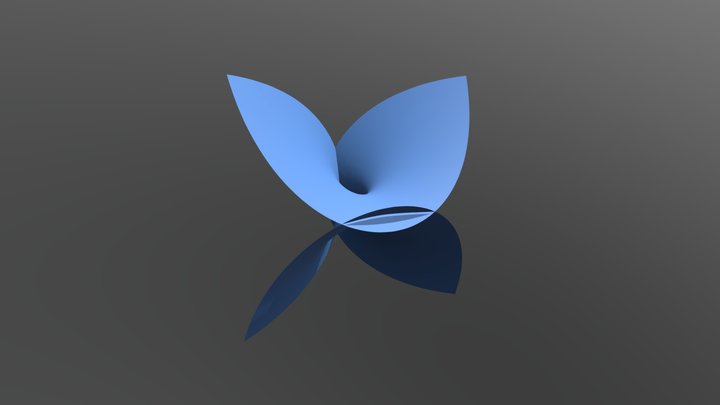 Enneper 3D Model