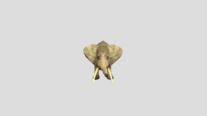 Elephant – Modello 3D gratuito STL