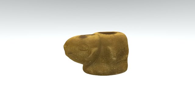Turtle 3D Model