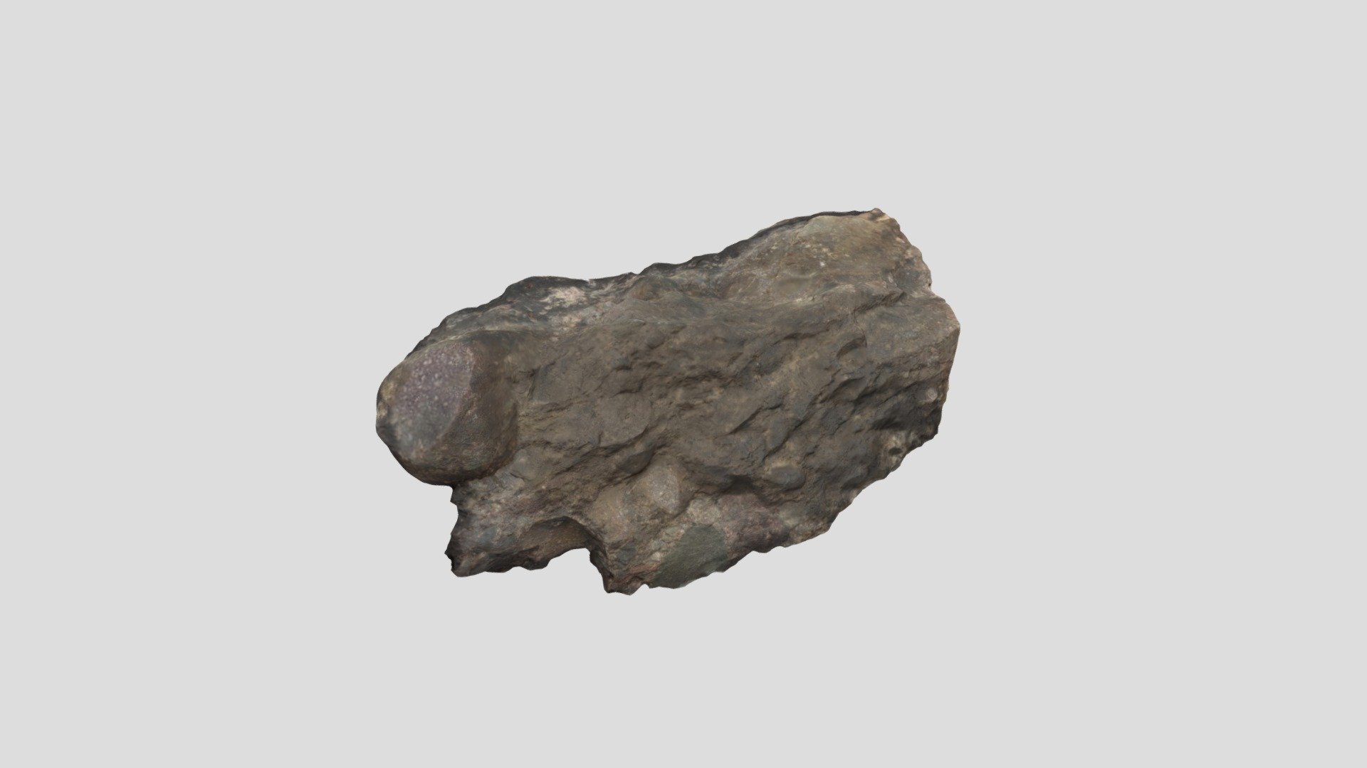 Roxbury Conglomerate