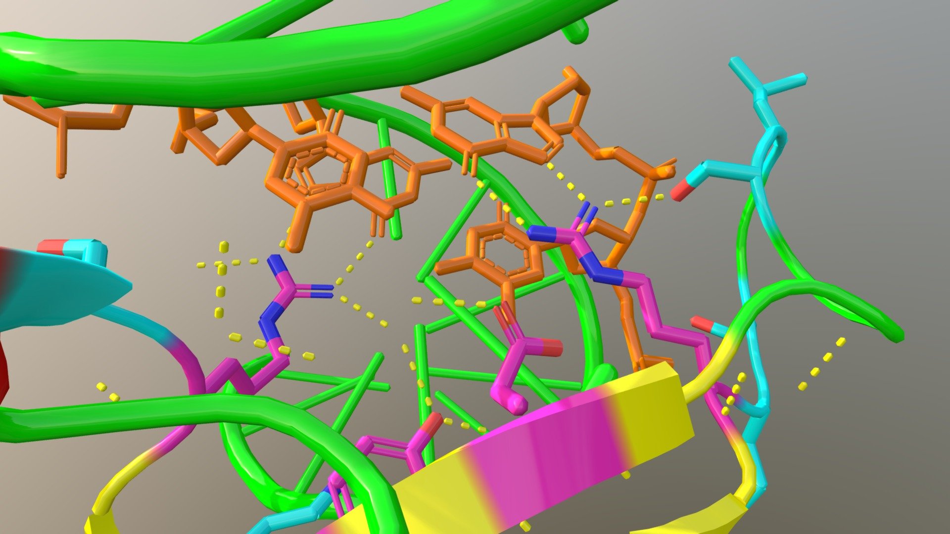 MBD2 in complex with methylated DNA - 3D model by zeldawinestock ...