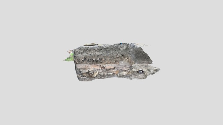 Untitled Scan 3D Model