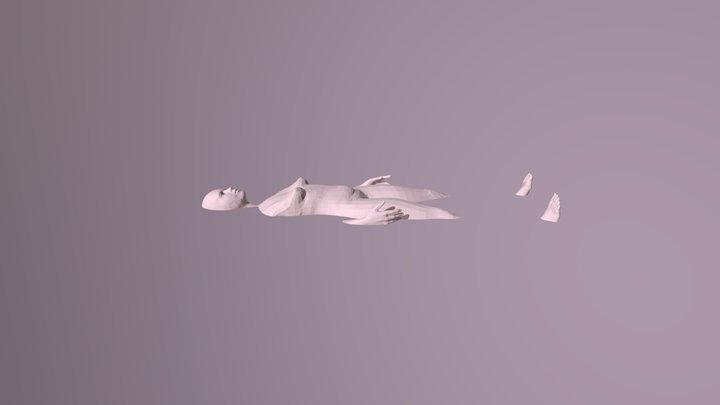 Floating body 3D Model