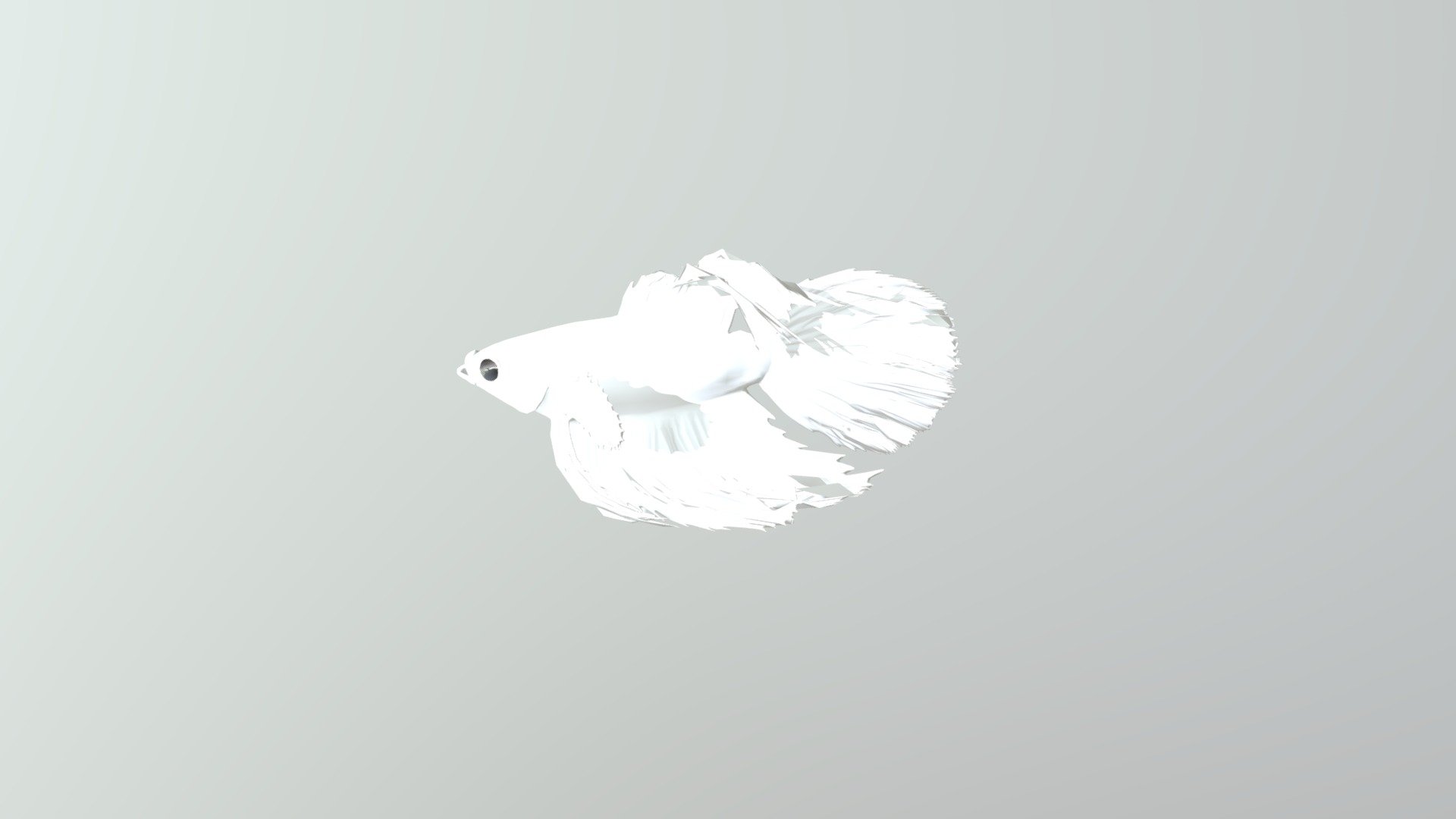 Test FBX