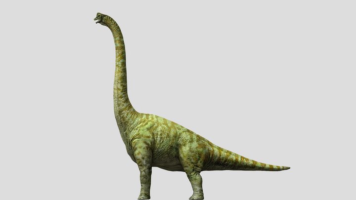 DracoWarrior's Female Brachiosaurus – Modello 3D gratuito STL
