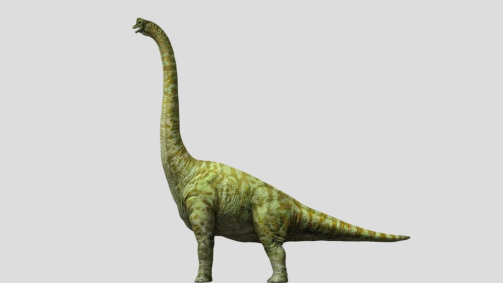 DracoWarrior's Female Brachiosaurus