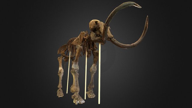 Dino 32 Mammuthus 3D Model