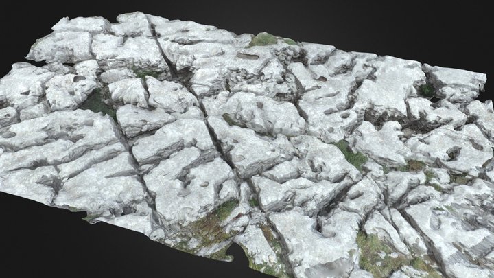 Lapiaz 3D Model