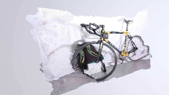 Cycle (2) 3D Model