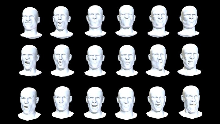 Realistic expressions_Heads 3D Model