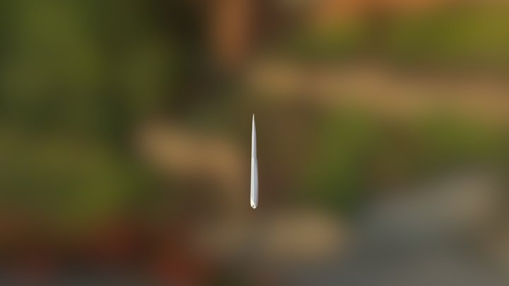 Ankylostome Adulte 3D Model