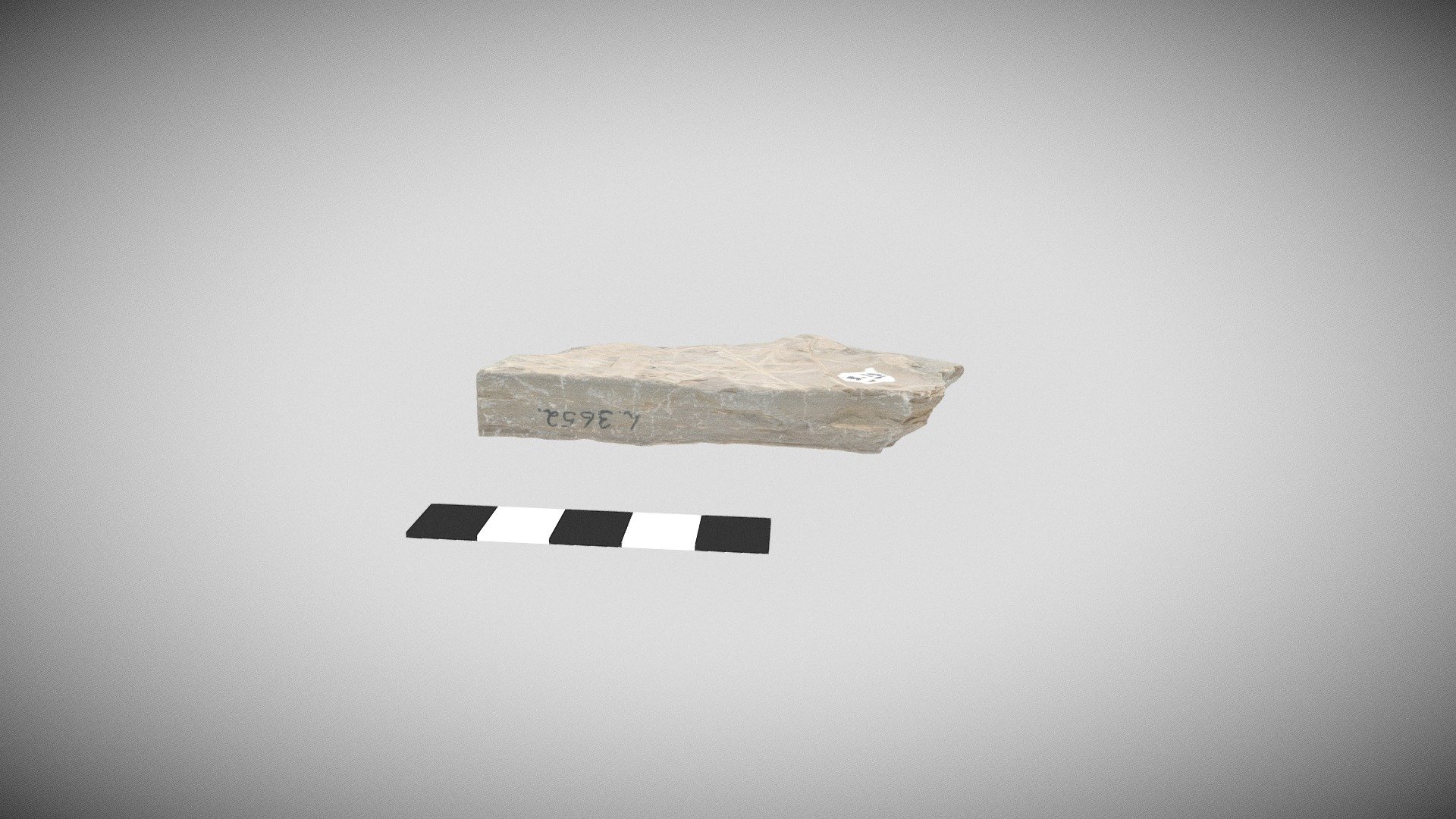 fine grained sedimentary rock