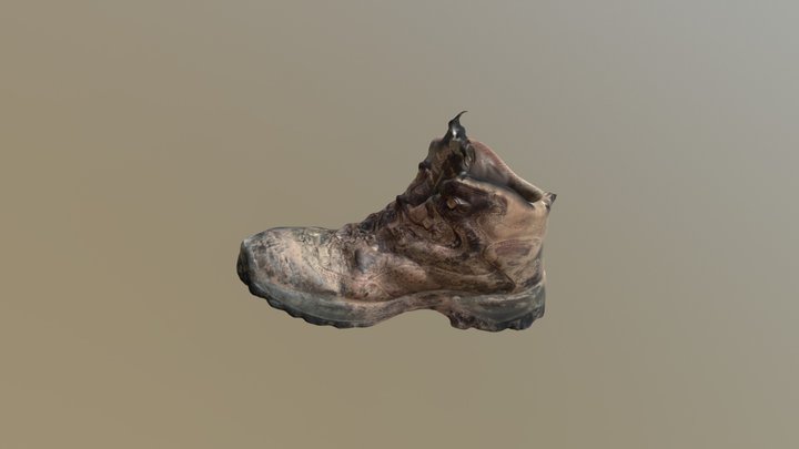 Walking Boot 3D Model