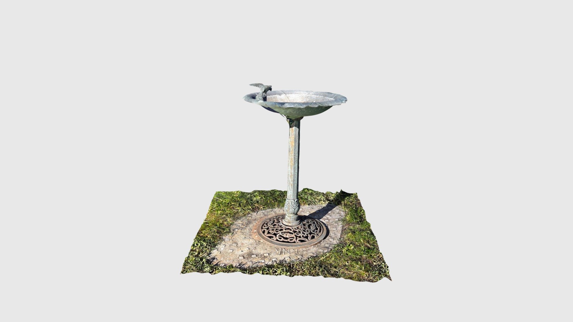 Bird Bath