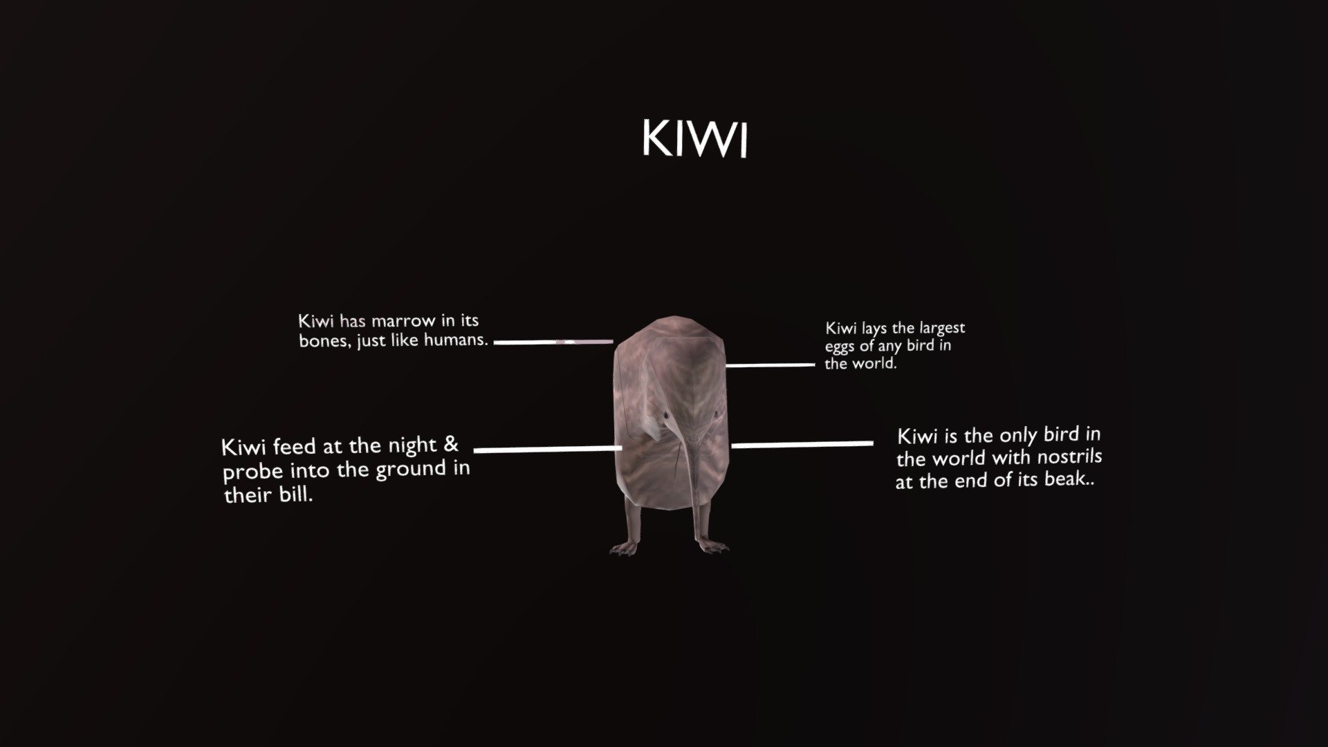 Kiwi