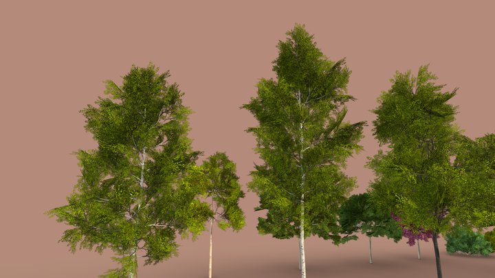 Various Forest Assets Pack 3D Model