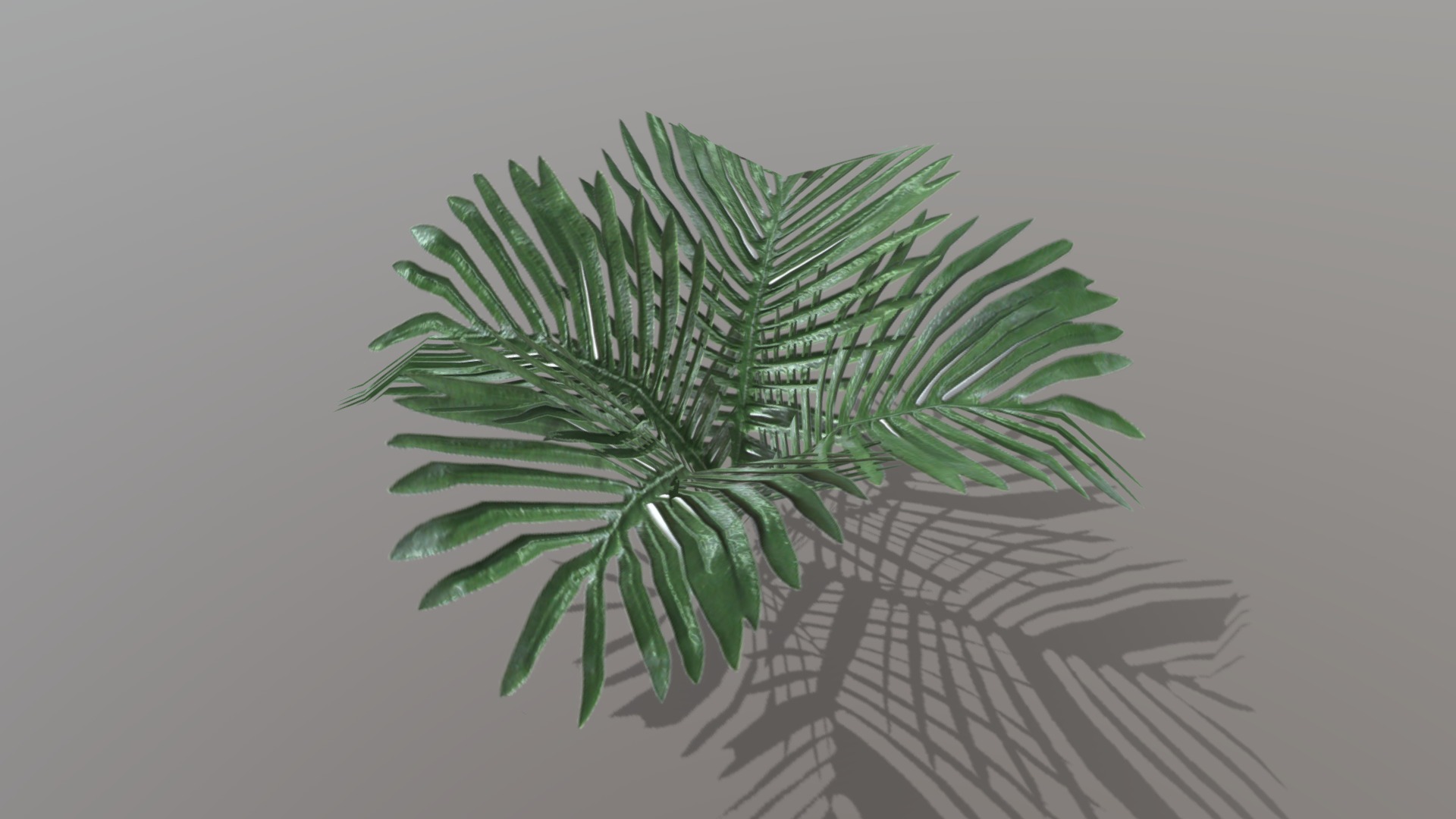 3D model Tropical plant - This is a 3D model of the Tropical plant. The 3D model is about a green plant on a white surface.