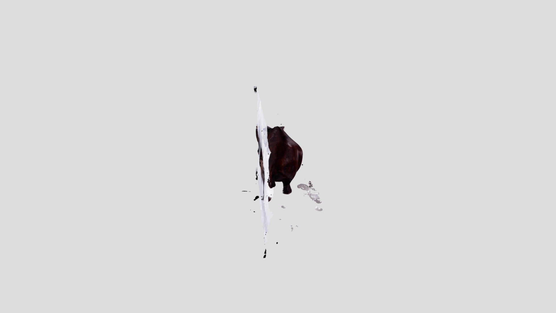 METASHAPE_RHINO_RAW