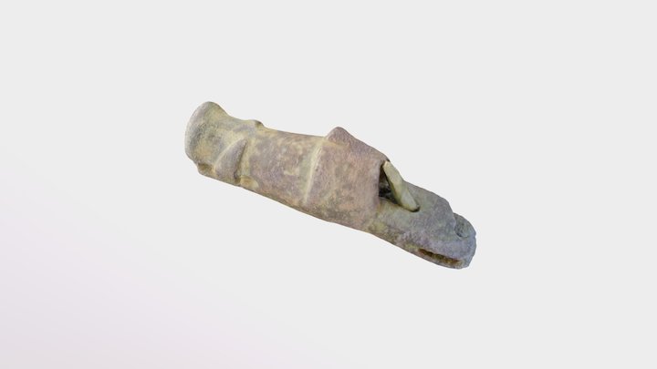 Nasal Swine Mosaic 3D Model