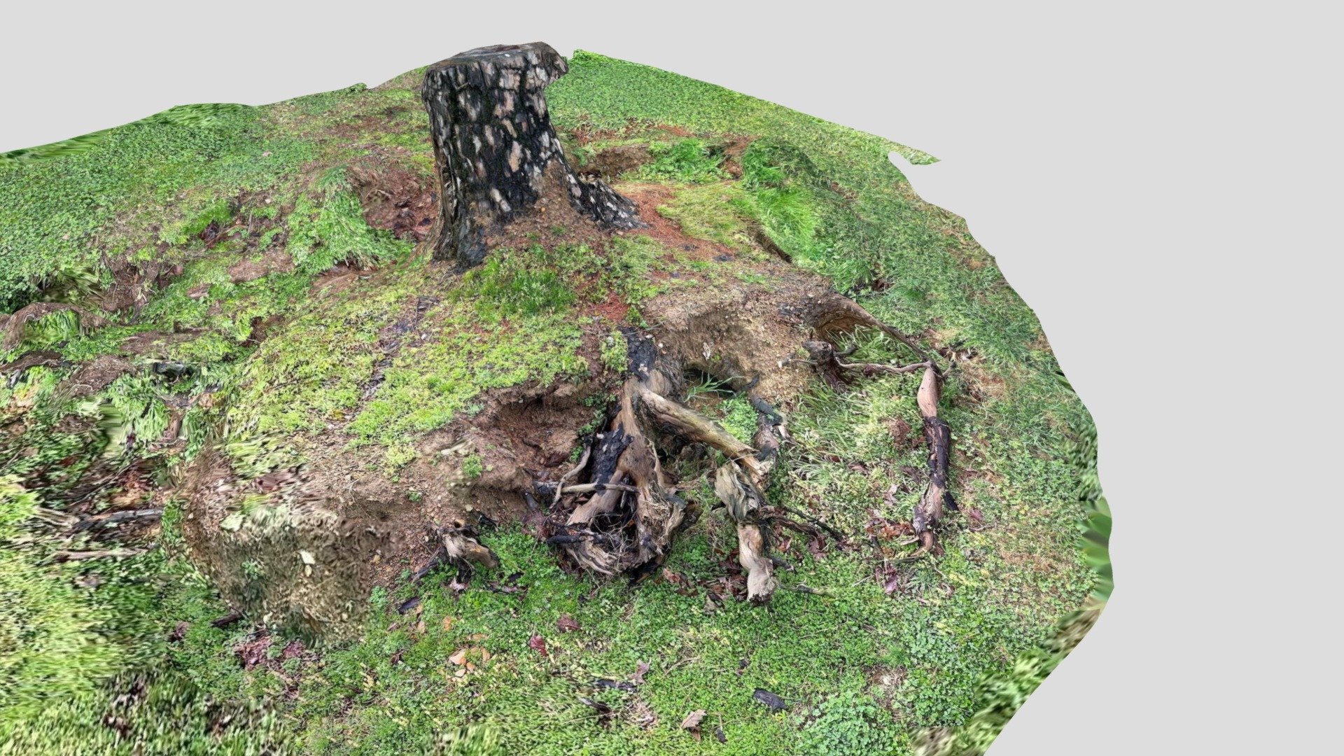Sunken Stump-poly — Sketchfab embed 3D viewer