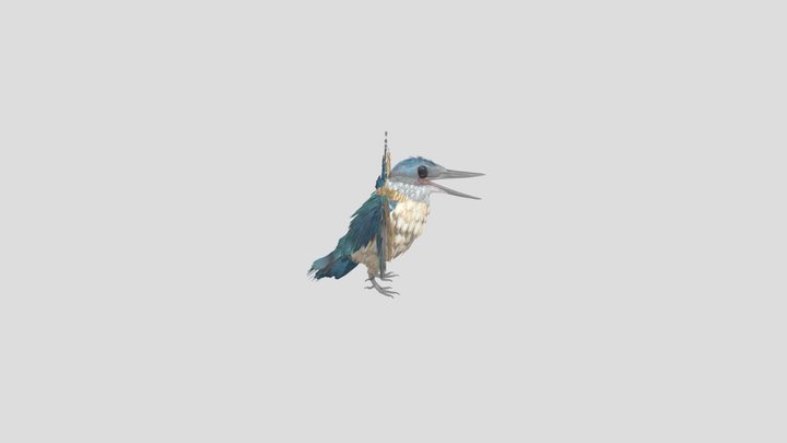 Bird Scene CAPTUR3D 3D Model