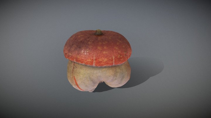 Lil' Pumpkin 3D Model