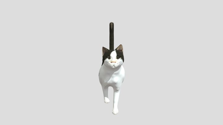black and white cat walking 3D Model