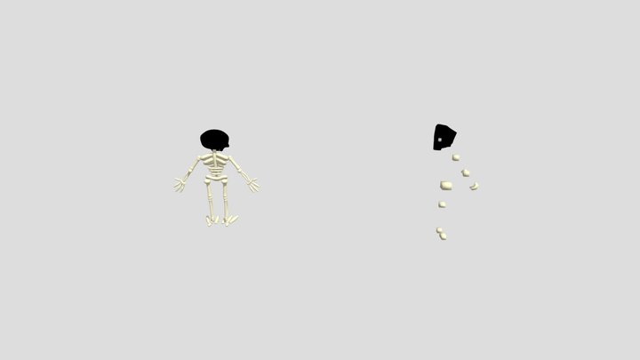 skeleton 3D Model