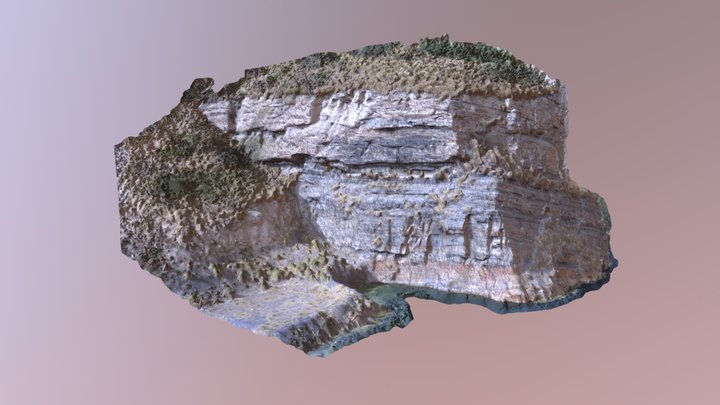 Cliff Face Drone Survey 3D Model