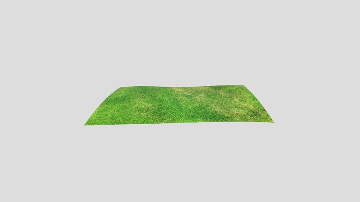 Grassyfield-but-where-the-grass-skechfab-reason 3D Model