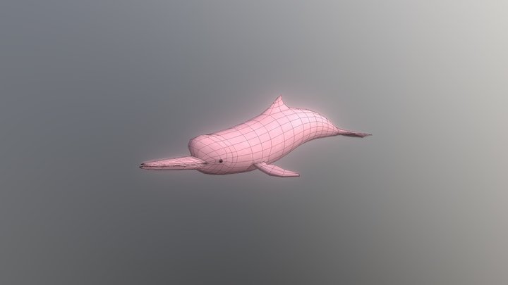 Delfin rosado 3D Model