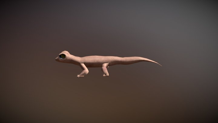 Digital Creatures - Low Poly Gecko 3D Model