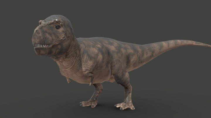 Tyrannosaurus Rex 3D Model