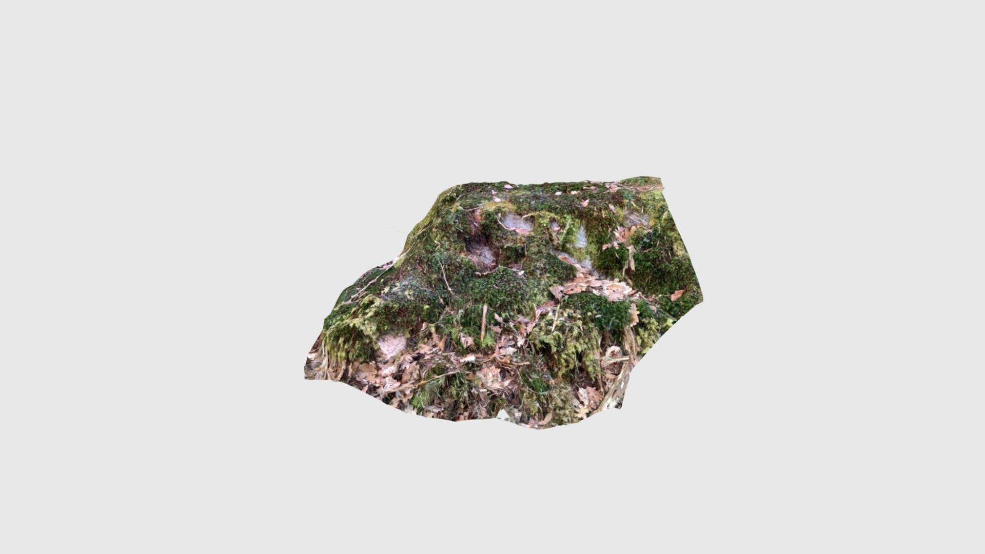 Mossy_boulder01