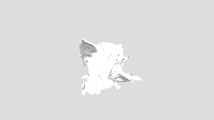 Model 3D Model