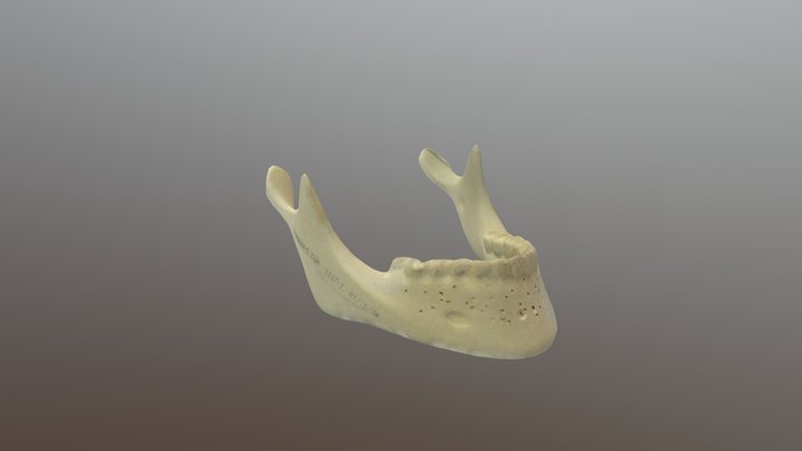 New with cavity 3D Model