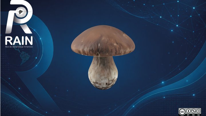 Chanterelle (Cantharellus Cibarius) – Free 3D Model STL