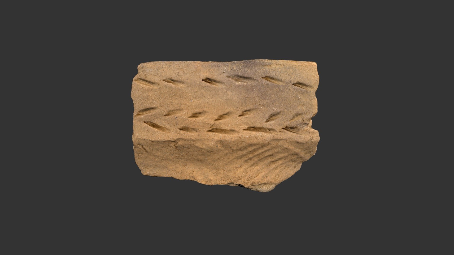 Pisgah Rimsherd (2094p1094-9)
