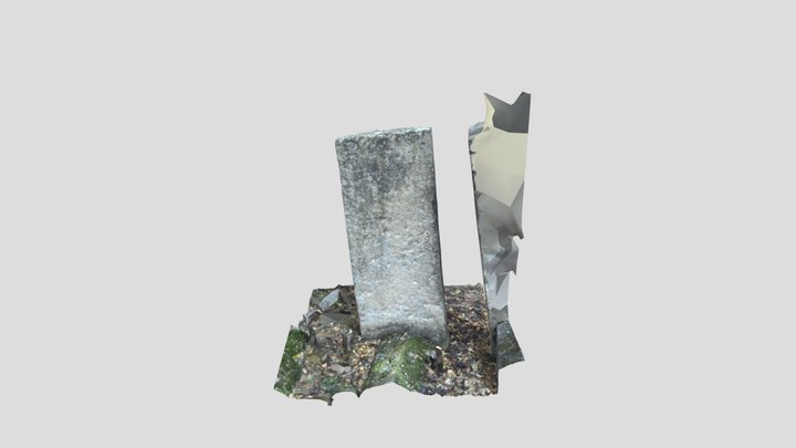 35 3D Model