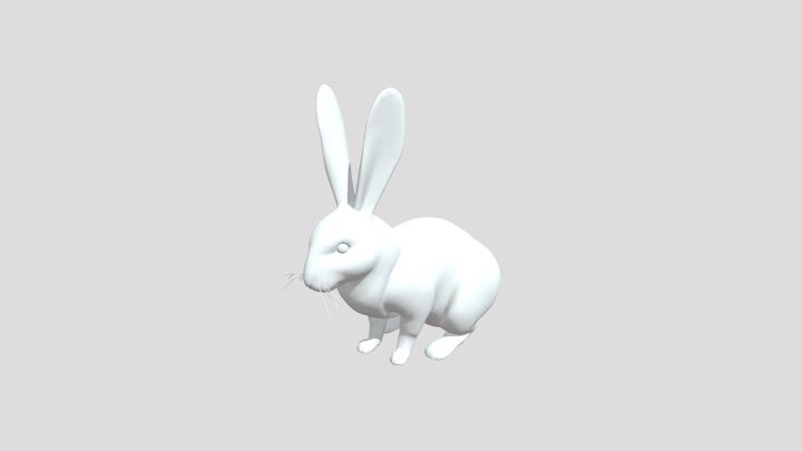 Dynamic 3D Model 13 3D Model