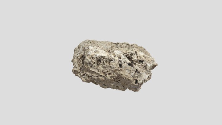 unknown sedimentary rock 3D Model